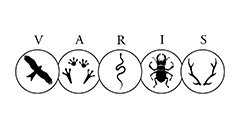 Varis Logo